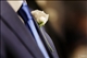 a2d3e47a-8b707c733-0dd3-46c9-8cd6-ae0cdeec193a.jpg